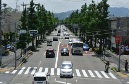 ����20���i�����s�E�����q�j�@�@1962�N