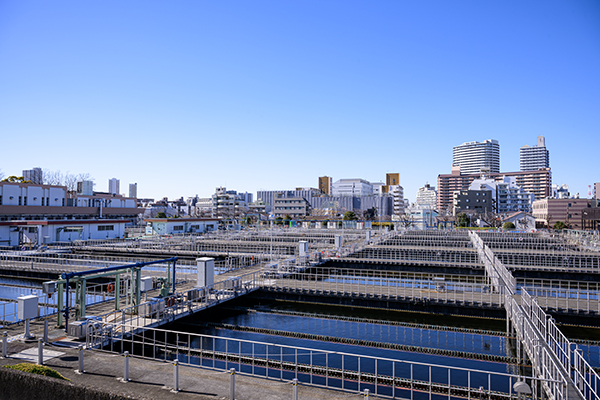 池の下の力持ち