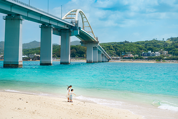美しい景色をつなぐ橋