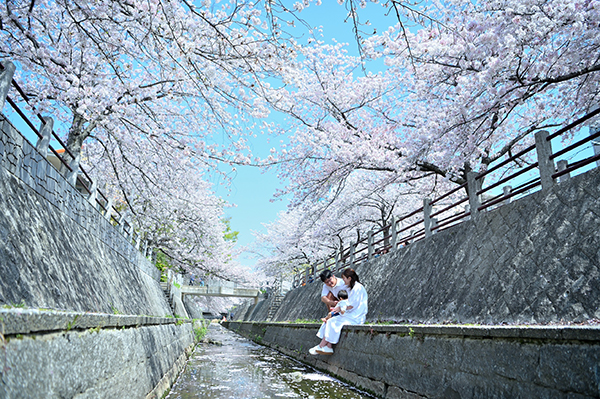 春の香りに包まれて